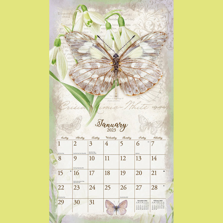 Lang Calendar 2023 Lang Butterflies 2023 Lang Wall Calendar Wayfair